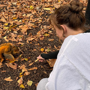 Meet your Posher, Evie